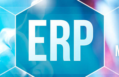 ERP-Software-Services